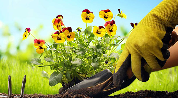 Găng tay lao động dùng để làm gì?